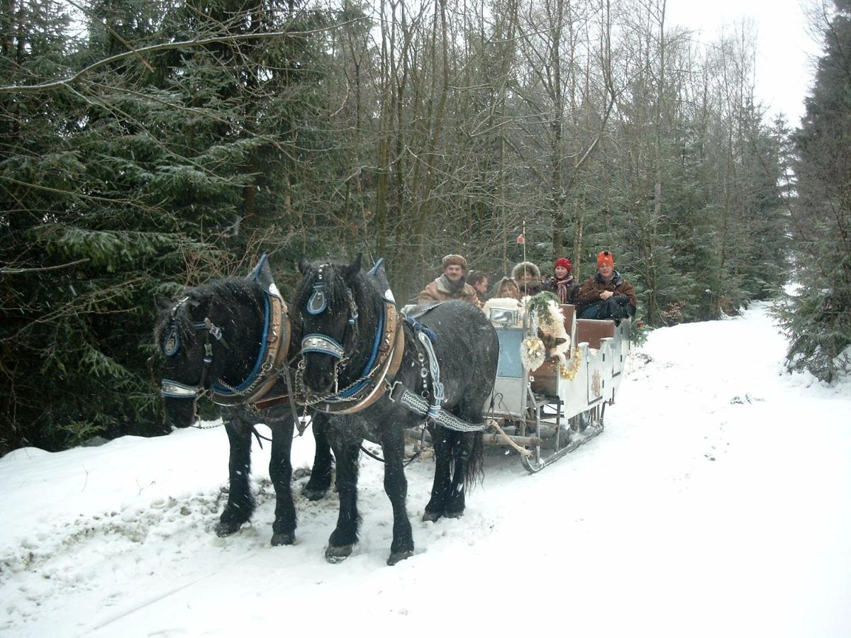 Appartement Bayern Ferienland Sonnenwald à Schöfweg Extérieur photo